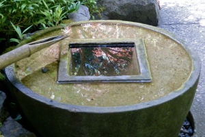 Reflection pool in the Japanese Garden.